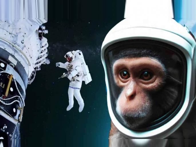 The alien will be home But how will the race grow | परग्रहावर 'घर' होईल; पण वंश कसा वाढेल? The alien will be home But how will the race grow | परग्रहावर 'घर' होईल; पण वंश कसा वाढेल?