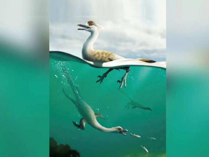 Dinosaur New Species Natovenator Might Have Dived Like Duck To Catch Its Prey In Mongolia | Dinosaur New Species: जगात प्रथमच पोहणाऱ्या डायनासोरचा शोध, बदकाप्रमाणे पाण्यात डुबकी घेत करायचा शिकार! Dinosaur New Species Natovenator Might Have Dived Like Duck To Catch Its Prey In Mongolia | Dinosaur New Species: जगात प्रथमच पोहणाऱ्या डायनासोरचा शोध, बदकाप्रमाणे पाण्यात डुबकी घेत करायचा शिकार!