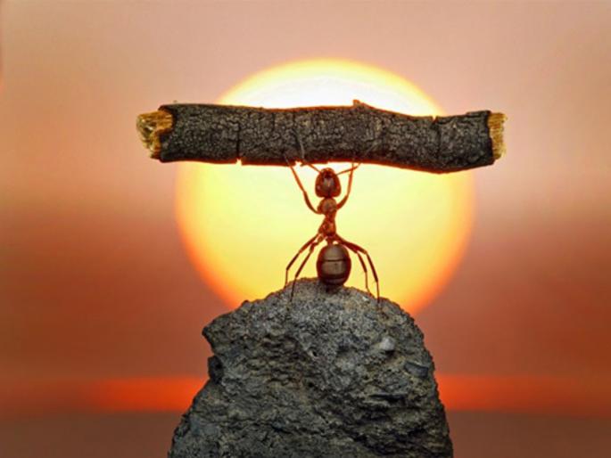 The first week of 2023 is over, but if your resolutions have already given up, do 'this' solution! | २०२३ चा पहिला आठवडा संपला, मात्र तुमच्या संकल्पांनी आताच मान टाकली असेल तर करा 'हे' उपाय! The first week of 2023 is over, but if your resolutions have already given up, do 'this' solution! | २०२३ चा पहिला आठवडा संपला, मात्र तुमच्या संकल्पांनी आताच मान टाकली असेल तर करा 'हे' उपाय!