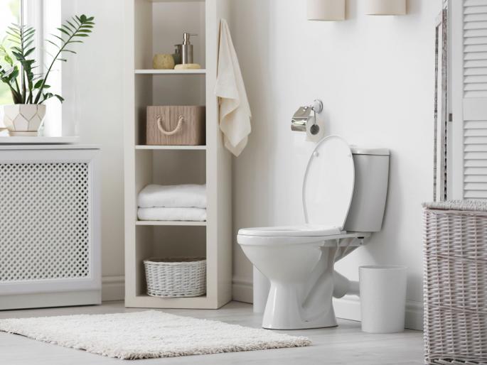 Vastu Shastra: If your bathroom lacks 'these' things, Vastu Dosh is bound to happen! | Vastu Shastra: तुमच्या बाथरूममध्ये 'या' गोष्टींचा अभाव असेल तर वास्तुदोष निर्माण होणार म्हणजे होणारच! Vastu Shastra: If your bathroom lacks 'these' things, Vastu Dosh is bound to happen! | Vastu Shastra: तुमच्या बाथरूममध्ये 'या' गोष्टींचा अभाव असेल तर वास्तुदोष निर्माण होणार म्हणजे होणारच!