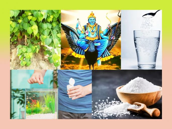 Shani Amavasya 2023: Do salt experiments at home on Shani Amavasya, resolve vastudosha and get many benefits! | Shani Amavasya 2023: यंदा शनी अमावस्येला करा घरामध्ये मिठाचे प्रयोग, वास्तुदोष होऊन दूर फायदे होतील भरपूर! Shani Amavasya 2023: Do salt experiments at home on Shani Amavasya, resolve vastudosha and get many benefits! | Shani Amavasya 2023: यंदा शनी अमावस्येला करा घरामध्ये मिठाचे प्रयोग, वास्तुदोष होऊन दूर फायदे होतील भरपूर!