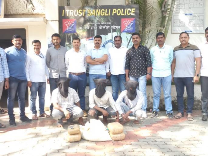 12 kg of ganja worth 2 lakh seized in Sangli, LCB, city police action | सांगलीत पावणे दोन लाखाचा बारा किलो गांजा जप्त, एलसीबी, शहर पोलिसांची कारवाई 12 kg of ganja worth 2 lakh seized in Sangli, LCB, city police action | सांगलीत पावणे दोन लाखाचा बारा किलो गांजा जप्त, एलसीबी, शहर पोलिसांची कारवाई