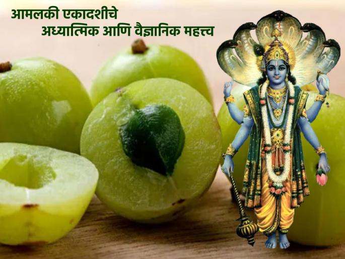 Amalaki Ekadashi 2023: Let's know the spiritual and scientific significance of Amalaki Ekadashi today! | Amalaki Ekadashi 2023: आजच्या आमलकी एकादशीचे अध्यात्मिक आणि वैज्ञानिक महत्त्व जाणून घेऊया! Amalaki Ekadashi 2023: Let's know the spiritual and scientific significance of Amalaki Ekadashi today! | Amalaki Ekadashi 2023: आजच्या आमलकी एकादशीचे अध्यात्मिक आणि वैज्ञानिक महत्त्व जाणून घेऊया!