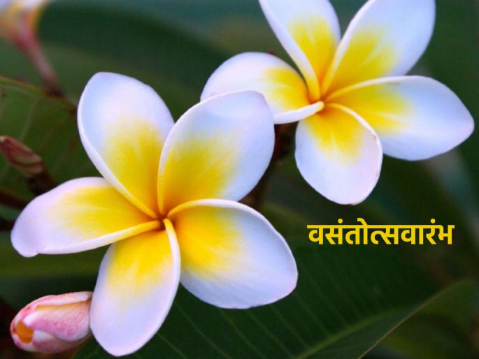 Vasantotsava is starting from March 8, what changes happen in our life with the arrival of this season? Read on! | ८ मार्च पासून वसंतोत्सव सुरू होत आहे, या ऋतूच्या आगमनाने आपल्या आयुष्यात कोणते बदल घडतात? वाचा! Vasantotsava is starting from March 8, what changes happen in our life with the arrival of this season? Read on! | ८ मार्च पासून वसंतोत्सव सुरू होत आहे, या ऋतूच्या आगमनाने आपल्या आयुष्यात कोणते बदल घडतात? वाचा!