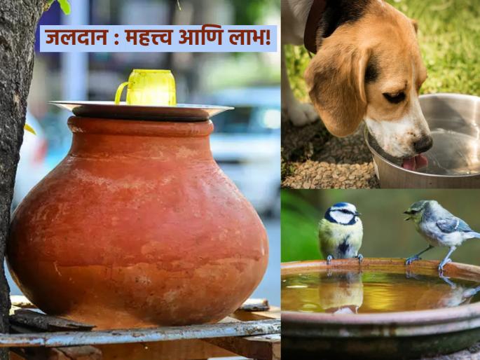 At home in the summer, get a chance of water donation and a lot of virtue; Read 'these' important things! | उन्हाळ्यात घरबसल्या मिळवा जलदानाची संधी आणि भरपूर पुण्य; वाचा 'या' महत्त्वाच्या गोष्टी! At home in the summer, get a chance of water donation and a lot of virtue; Read 'these' important things! | उन्हाळ्यात घरबसल्या मिळवा जलदानाची संधी आणि भरपूर पुण्य; वाचा 'या' महत्त्वाच्या गोष्टी!