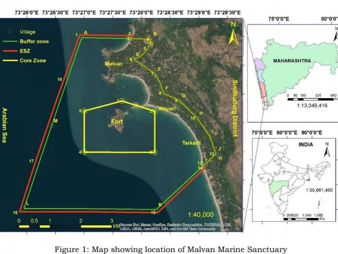 loss of marine property Danger to the tourism sector Various studies in the field of marine sanctuaries have revealed many issues | सागरी संपत्तीची हानी; पर्यटन क्षेत्राला धोका! सागरी अभयारण्य क्षेत्रातील विविध अभ्यासात अनेक बाबी उघड