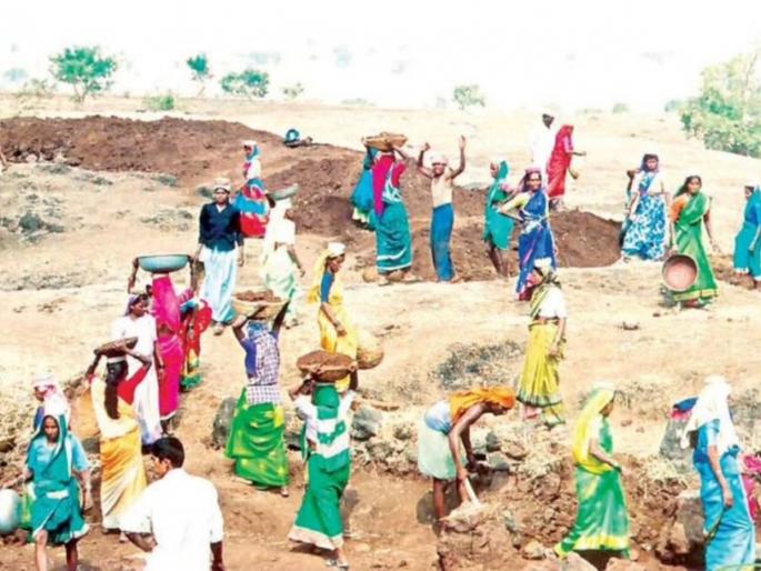BA BCom some B.Sc Sustainability friendship with rojgar hami yojna | बीए, बीकॉम, तर कोणी बीएस्सी; टिकाव, फावडे घेऊन दोस्ती ‘रोहयो’शी! BA BCom some B.Sc Sustainability friendship with rojgar hami yojna | बीए, बीकॉम, तर कोणी बीएस्सी; टिकाव, फावडे घेऊन दोस्ती ‘रोहयो’शी!