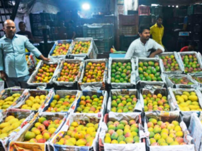 mangoes from south are in full demand in APMC arrival of Hapus from Konkan has decreased | दक्षिणेतील आंब्याची एपीएमसीत दादागिरी! कोकणच्या हापूसची आवक झाली कमी mangoes from south are in full demand in APMC arrival of Hapus from Konkan has decreased | दक्षिणेतील आंब्याची एपीएमसीत दादागिरी! कोकणच्या हापूसची आवक झाली कमी
