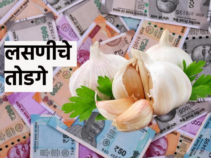 Astro Tips: According to astrology, garlic will not only enhance cooking but also life; Read garlic solutions! | Astro Tips: ज्योतिष शास्त्रानुसार लसूण केवळ स्वयंपाकाची नाही तर आयुष्याची लज्जतही वाढवेल; वाचा लसूणाचे तोडगे!