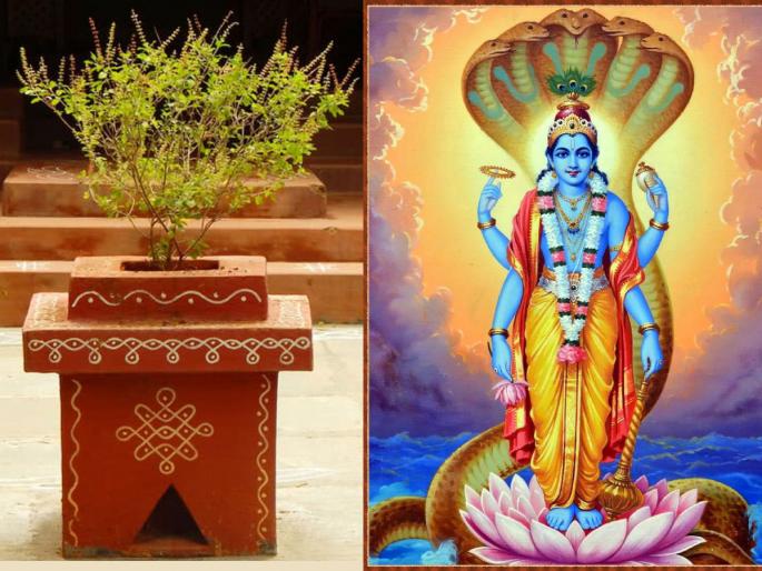 Adhik Maas 2023: Plant a Tulsi plant in Adhik Maas and perform its Kanyadan in Kartik Maas! | Adhik Maas 2023: अधिक मासात तुळशीचे रोप लावा आणि कार्तिक मासात तिचे कन्यादान करा! Adhik Maas 2023: Plant a Tulsi plant in Adhik Maas and perform its Kanyadan in Kartik Maas! | Adhik Maas 2023: अधिक मासात तुळशीचे रोप लावा आणि कार्तिक मासात तिचे कन्यादान करा!