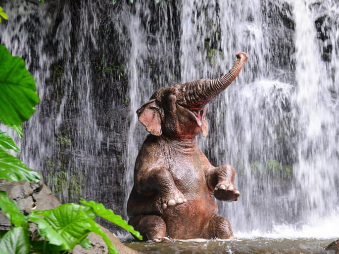 Positive Vibes: Start the day with a small smile, you never know if a big opportunity awaits! | Positive Vibes: छोट्याशा स्माईलने दिवस सुरू करा, काय सांगावं मोठी संधी वाट पाहत असेलही!