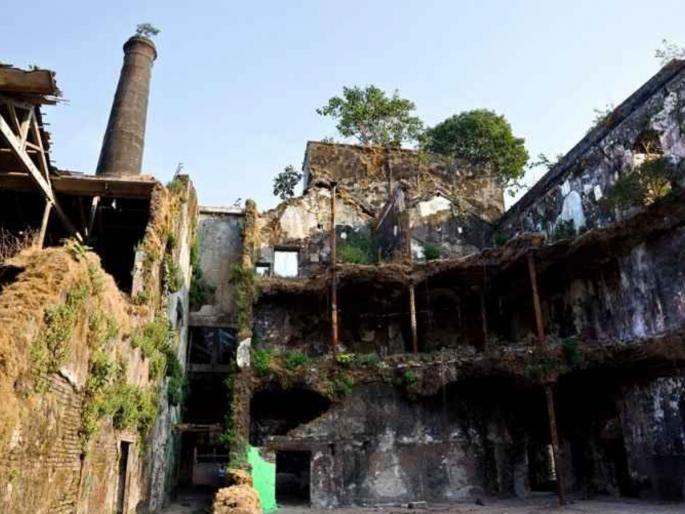 How to spray waste mills Staffing problem in pesticide department | पडीक गिरण्यांत फवारणी करायची तरी कशी? कीटकनाशक विभागातील कर्मचाऱ्यांची अडचण How to spray waste mills Staffing problem in pesticide department | पडीक गिरण्यांत फवारणी करायची तरी कशी? कीटकनाशक विभागातील कर्मचाऱ्यांची अडचण