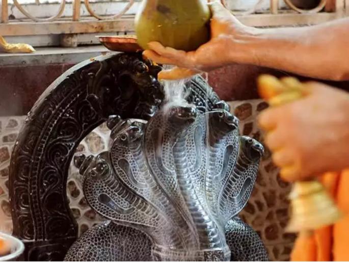 Nag Panchami 2023: How many types of snakes are there and worshiping which snake yields what fruit? Read on | Nag Panchami 2023: किती प्रकारचे नाग असतात आणि कोणत्या नागाची पूजा केल्याने कोणते फळ मिळते? वाचा Nag Panchami 2023: How many types of snakes are there and worshiping which snake yields what fruit? Read on | Nag Panchami 2023: किती प्रकारचे नाग असतात आणि कोणत्या नागाची पूजा केल्याने कोणते फळ मिळते? वाचा