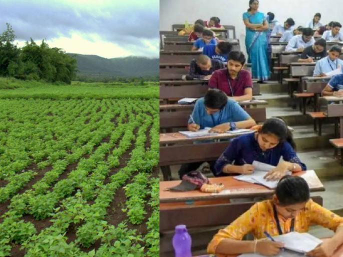 As many as 952 vacancies to be filled for the post of Agricultural Sevak, application deadline... | कृषीसेवक पदासाठी भरल्या जाणार तब्बल ९५२ जागा, आज अर्जाची अंतिम मुदत