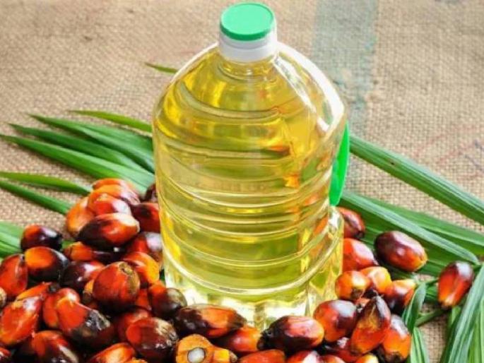 High import of palm oil in the country, 11 states planted palm trees on three and a half thousand hectares | देशात पाम तेलाची उच्चांकी आयात, ११ राज्यांनी केली साडेतीन हजार हेक्टरवर पाम वृक्षांची लागवड High import of palm oil in the country, 11 states planted palm trees on three and a half thousand hectares | देशात पाम तेलाची उच्चांकी आयात, ११ राज्यांनी केली साडेतीन हजार हेक्टरवर पाम वृक्षांची लागवड