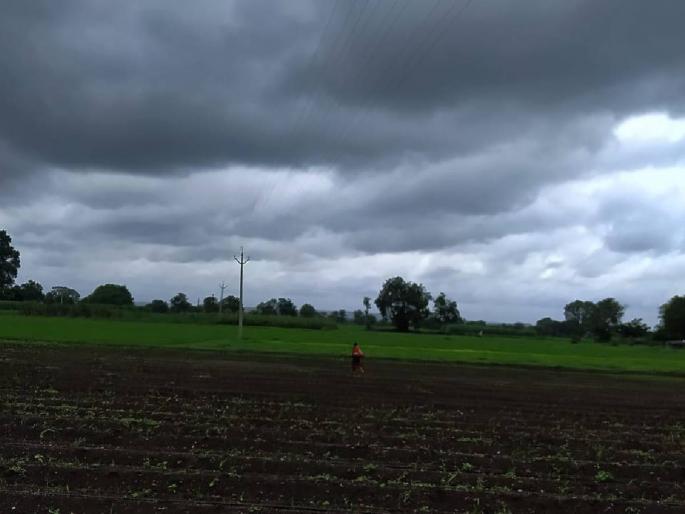 Yellow alert for rain in Vidarbha for the next four days, where will it rain? | पुढील चार दिवस विदर्भात पावसाचा येलो अलर्ट, 'इथे' वादळी वाऱ्यासह विजाही पडण्याची शक्यता Yellow alert for rain in Vidarbha for the next four days, where will it rain? | पुढील चार दिवस विदर्भात पावसाचा येलो अलर्ट, 'इथे' वादळी वाऱ्यासह विजाही पडण्याची शक्यता