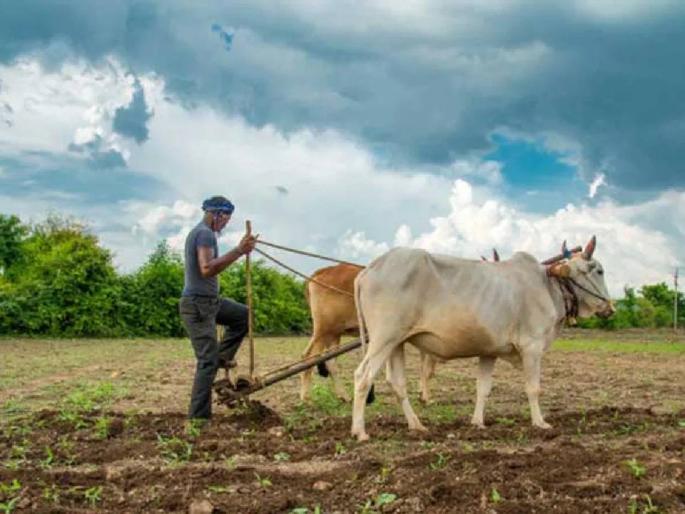 2.15 crores of the farmer's fatigue, finally recovered from Adtya's slag auction! | शेतकऱ्याचे थकवले २.१५ कोटी, शेवटी वसुलीही अडत्याच्याच गाळा लिलावातून! 2.15 crores of the farmer's fatigue, finally recovered from Adtya's slag auction! | शेतकऱ्याचे थकवले २.१५ कोटी, शेवटी वसुलीही अडत्याच्याच गाळा लिलावातून!