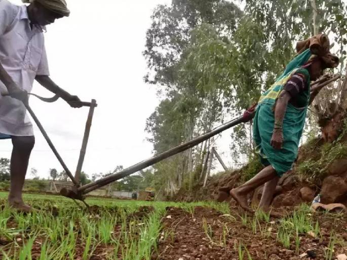 Vegetables in crisis due to lack of rain; A break in onion cultivation | पावसाअभावी भाजीपाला संकटात; कांदा लागवडीला ब्रेक Vegetables in crisis due to lack of rain; A break in onion cultivation | पावसाअभावी भाजीपाला संकटात; कांदा लागवडीला ब्रेक