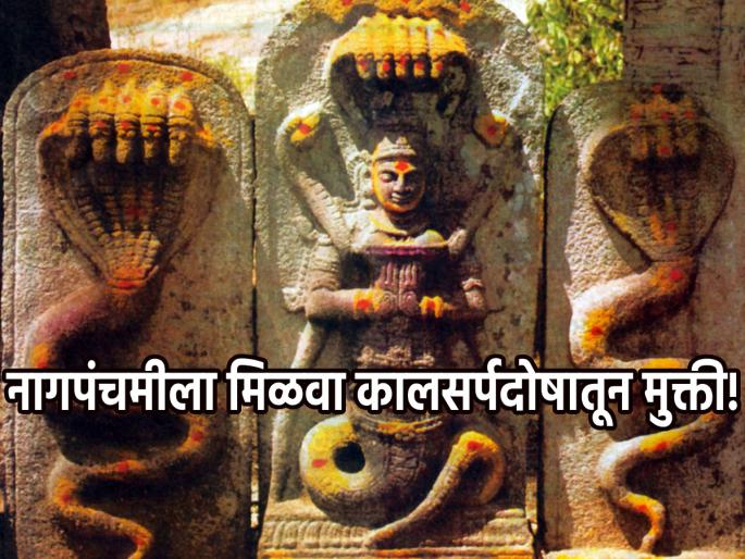 Nag Panchami 2023: Do 'These' Effective Remedies on Nag Panchami to Get Rid of Kalasarpa Dosha! | Nag Panchami 2023: कालसर्प दोषातून मुक्ती मिळवण्यासाठी नागपंचमीला करा 'हे' प्रभावी उपाय!