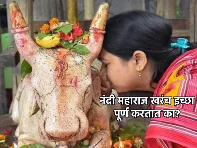 Shravan Somvar 2023 : After going to Shiva temple, why do Nandi Maharaj's ears first say wishes? Scripture says... | Shravan Somvar 2023 : शिवमंदिरात गेल्यावर आधी नंदी महाराजांच्या कानात इच्छा का सांगतात? शास्त्र सांगते... Shravan Somvar 2023 : After going to Shiva temple, why do Nandi Maharaj's ears first say wishes? Scripture says... | Shravan Somvar 2023 : शिवमंदिरात गेल्यावर आधी नंदी महाराजांच्या कानात इच्छा का सांगतात? शास्त्र सांगते...