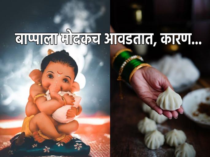 Ganesh Chaturthi 2023: Padma Purana Answers Why Bappa's Modak Love! | Ganesh Chaturthi 2023: बाप्पाला मोदकच का आवडतात, याचे उत्तर सापडते पद्म पुराणात! Ganesh Chaturthi 2023: Padma Purana Answers Why Bappa's Modak Love! | Ganesh Chaturthi 2023: बाप्पाला मोदकच का आवडतात, याचे उत्तर सापडते पद्म पुराणात!