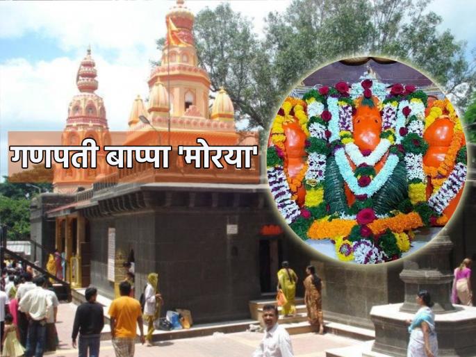 Ganesh Chaturthi 2023: We used to say Ganapati Bappa 'Moraya'; But why? Read 'this' Story! | Ganesh Chaturthi 2023: गणपती बाप्पा म्हटल्यावर 'मोरsssया' असं आपण एकसुरात म्हणतो; पण का? वाचा 'ही' गोष्ट! Ganesh Chaturthi 2023: We used to say Ganapati Bappa 'Moraya'; But why? Read 'this' Story! | Ganesh Chaturthi 2023: गणपती बाप्पा म्हटल्यावर 'मोरsssया' असं आपण एकसुरात म्हणतो; पण का? वाचा 'ही' गोष्ट!