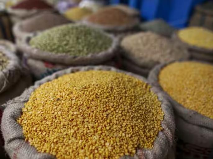 Keep the Diwali turdal now it will cost 200 rupees One has to think while eating Varan Bhaat during the festival | दिवाळीची तूरडाळ आताच घेऊन ठेवा, २०० रुपयांवर जाणार! सणासुदीत वरण-भात खाताना विचार करावा लागणार Keep the Diwali turdal now it will cost 200 rupees One has to think while eating Varan Bhaat during the festival | दिवाळीची तूरडाळ आताच घेऊन ठेवा, २०० रुपयांवर जाणार! सणासुदीत वरण-भात खाताना विचार करावा लागणार