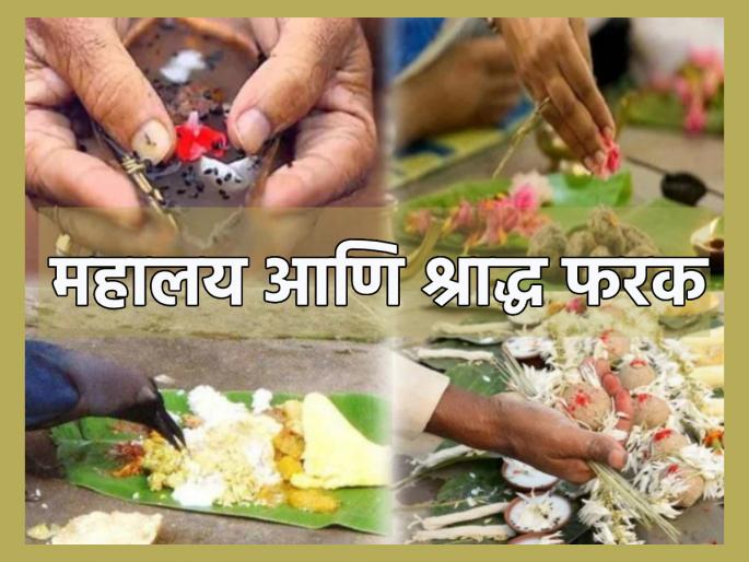Pitru Paksha 2023: Pitru Paksha starts from September 29; Know the main difference between Mahalaya and Shraddha! | Pitru Paksha 2023: २९ सप्टेंबर पासून पितृ पक्ष सुरू होतोय; महालय आणि श्राद्ध यातील मुख्य फरक जाणून घ्या! Pitru Paksha 2023: Pitru Paksha starts from September 29; Know the main difference between Mahalaya and Shraddha! | Pitru Paksha 2023: २९ सप्टेंबर पासून पितृ पक्ष सुरू होतोय; महालय आणि श्राद्ध यातील मुख्य फरक जाणून घ्या!