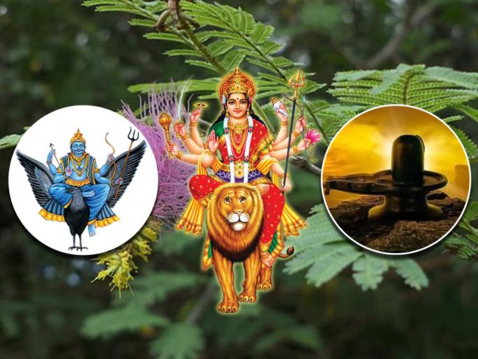 Dussehra 2023: Shani Puja is important along with worship of Goddess and Sri Rama on Dussehra; Because... | Dussehra 2023: दसऱ्याला देवी आणि श्रीरामाच्या पूजेबरोबर शनी पूजाही महत्त्वाची; कारण...  Dussehra 2023: Shani Puja is important along with worship of Goddess and Sri Rama on Dussehra; Because... | Dussehra 2023: दसऱ्याला देवी आणि श्रीरामाच्या पूजेबरोबर शनी पूजाही महत्त्वाची; कारण...