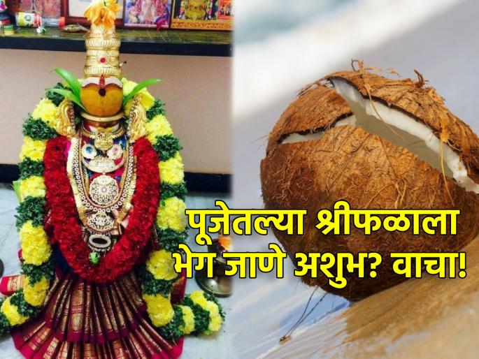 Margashirsha Guruvar 2023: Cracking a coconut kept in Mahalakshmi's worship 'auspicious' or 'auspicious'? Read on! | Margashirsha Guruvar 2023: महालक्ष्मीच्या पूजेत ठेवलेल्या नारळाला तडा जाणे 'शुभ' की 'अशुभ'? वाचा! Margashirsha Guruvar 2023: Cracking a coconut kept in Mahalakshmi's worship 'auspicious' or 'auspicious'? Read on! | Margashirsha Guruvar 2023: महालक्ष्मीच्या पूजेत ठेवलेल्या नारळाला तडा जाणे 'शुभ' की 'अशुभ'? वाचा!