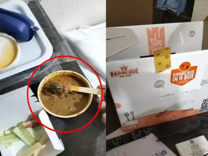 dead mouse in veg meal ordered from mumbai bbq nation puts customer in hospital for 75 hours | बार्बेक्यू नेशनच्या जेवणात मेलेला उंदीर अन् ग्राहकावर रुग्णालयात दाखल होण्याची वेळ! dead mouse in veg meal ordered from mumbai bbq nation puts customer in hospital for 75 hours | बार्बेक्यू नेशनच्या जेवणात मेलेला उंदीर अन् ग्राहकावर रुग्णालयात दाखल होण्याची वेळ!