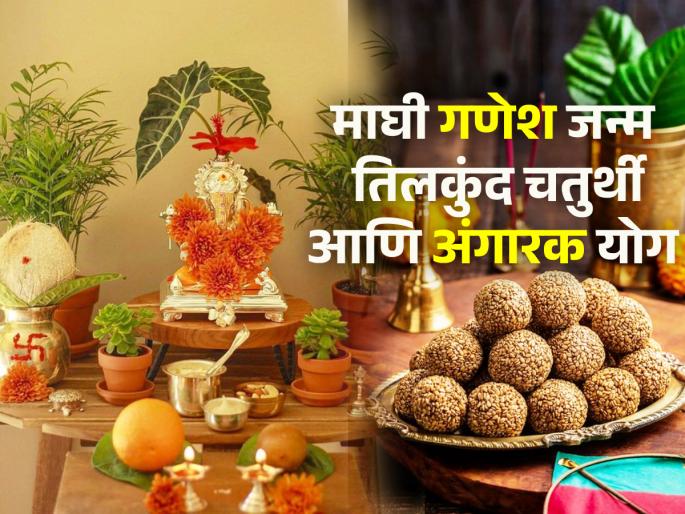 Tilkund Chaturthi 2024: Tilkund Chaturthi, Maghi Ganesha Birth and Angarak Yoga; precious yoga of Ganesha Puja! | Tilkund Chaturthi 2024: तिलकुंद चतुर्थी, माघी गणेश जन्म आणि अंगारक योग; गणेश पूजेचा दुग्धशर्करा योग!
