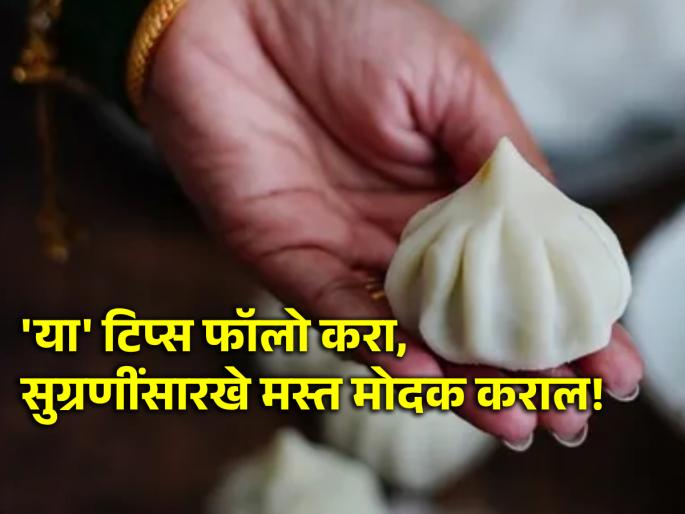 Maghi Ganeshotsav 2024: Make sure to follow these tips to make luscious, white, tasty Ukdi Modak! | Maghi Ganeshotsav 2024: लुसलुशीत, पांढरे शुभ्र, उकडीचे मोदक बनवणार असाल तर 'या' टिप्स नक्की फॉलो करा! Maghi Ganeshotsav 2024: Make sure to follow these tips to make luscious, white, tasty Ukdi Modak! | Maghi Ganeshotsav 2024: लुसलुशीत, पांढरे शुभ्र, उकडीचे मोदक बनवणार असाल तर 'या' टिप्स नक्की फॉलो करा!