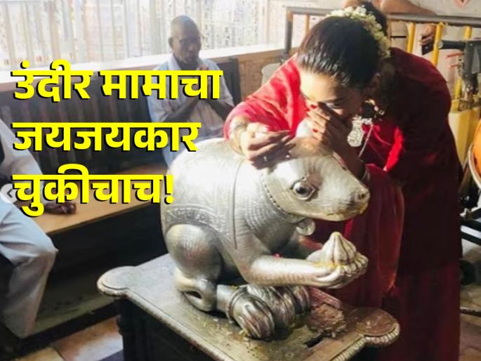 Maghi Ganeshotsav 2024: On the occasion of Maghi Ganeshotsav, be sure to chant name of Bappa, but not undir mama; Because... | Maghi Ganeshotsav 2024: माघी गणेशोत्सवानिमित्त बाप्पाचा जयजयकार करा, पण उंदीर मामाचा नाही; कारण... Maghi Ganeshotsav 2024: On the occasion of Maghi Ganeshotsav, be sure to chant name of Bappa, but not undir mama; Because... | Maghi Ganeshotsav 2024: माघी गणेशोत्सवानिमित्त बाप्पाचा जयजयकार करा, पण उंदीर मामाचा नाही; कारण...