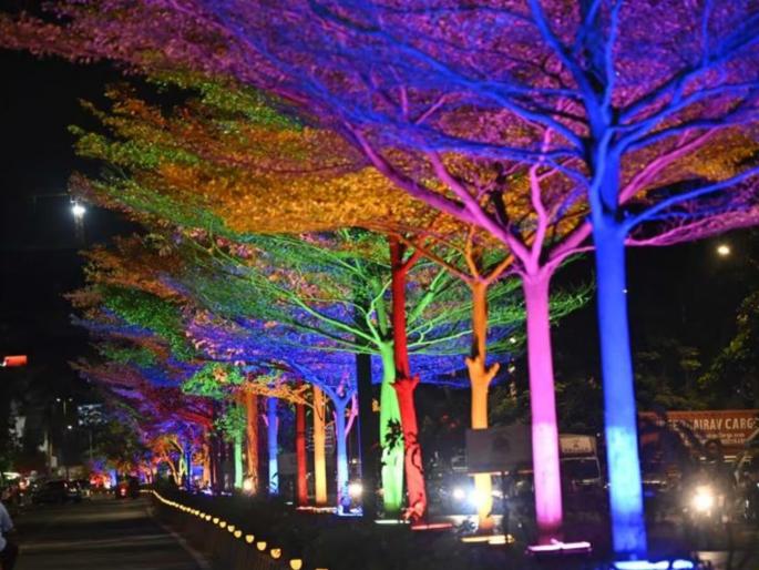 Electric lighting on the roots of trees the glow is fatal to biodiversity in mumbai | विद्युत रोषणाई झाडांच्या मुळावर, झगमगाट जैवसाखळीसाठी जीवघेणा Electric lighting on the roots of trees the glow is fatal to biodiversity in mumbai | विद्युत रोषणाई झाडांच्या मुळावर, झगमगाट जैवसाखळीसाठी जीवघेणा