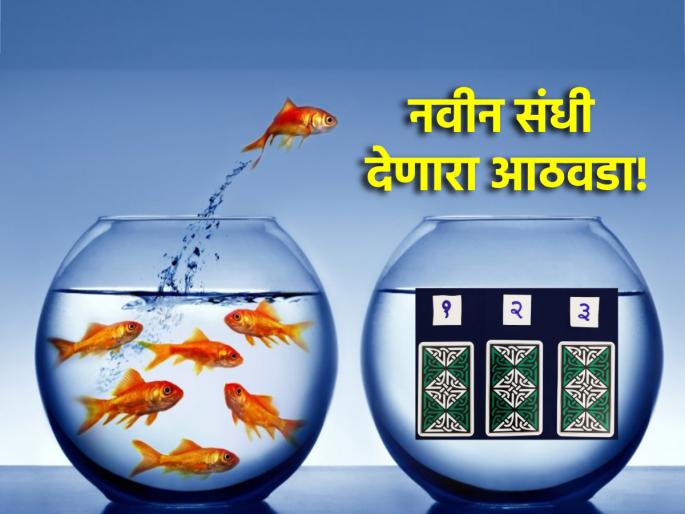 Tarot Card: A week of financial stability and new opportunities; Choose your tarot card! | Tarot Card: आर्थिक स्थैर्य आणि नवीन संधी देणारा आठवडा; निवडा तुमचे टॅरो कार्ड! Tarot Card: A week of financial stability and new opportunities; Choose your tarot card! | Tarot Card: आर्थिक स्थैर्य आणि नवीन संधी देणारा आठवडा; निवडा तुमचे टॅरो कार्ड!