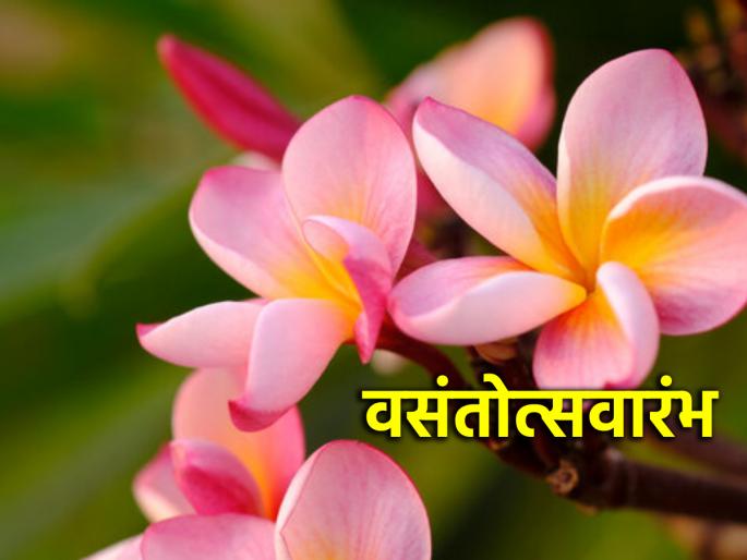 Beginning of the spring festival from today; Know the changes in creation! | 'फुलला मनी वसंत बहार' आजपासून वसंतोत्सवाची होतेय सुरुवात; जाणून घ्या सृष्टीत होणारे बदल! Beginning of the spring festival from today; Know the changes in creation! | 'फुलला मनी वसंत बहार' आजपासून वसंतोत्सवाची होतेय सुरुवात; जाणून घ्या सृष्टीत होणारे बदल!