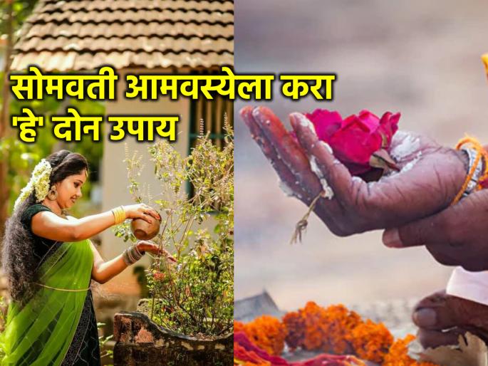 Somvati Amavasya 2024: Know the Benefits of Worshiping Ancestors and Tulsi on Somvati Amavasya! | Somvati Amavasya 2024: सोमवती अमावस्येला पितरांची आणि तुळशीची पूजा केल्याने होणारे लाभ जाणून घ्या! Somvati Amavasya 2024: Know the Benefits of Worshiping Ancestors and Tulsi on Somvati Amavasya! | Somvati Amavasya 2024: सोमवती अमावस्येला पितरांची आणि तुळशीची पूजा केल्याने होणारे लाभ जाणून घ्या!