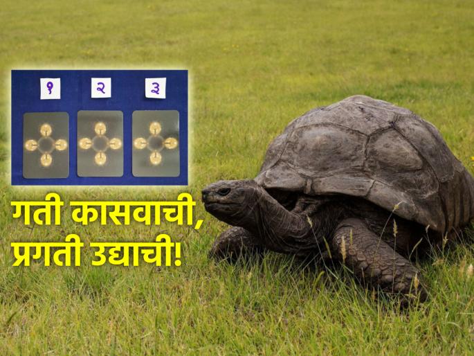Tarot Card: You are sure to move towards your goal, albeit at the speed of a turtle; Read Tarot Fortune! | Tarot Card: कासवाच्या गतीने का होईना तुम्ही ध्येयाकडे वाटचाल करताय हे नक्की; वाचा टॅरो भविष्य!