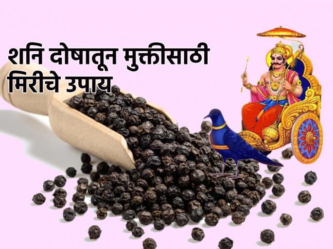 Astro Tips: Use pepper like this to get rid of Shani dosh and financial problems! | Astro Tips: शनि दोष आणि आर्थिक समस्यांमधून मुक्ति मिळवण्यासाठी मिरीचा करा 'असा' उपयोग! Astro Tips: Use pepper like this to get rid of Shani dosh and financial problems! | Astro Tips: शनि दोष आणि आर्थिक समस्यांमधून मुक्ति मिळवण्यासाठी मिरीचा करा 'असा' उपयोग!
