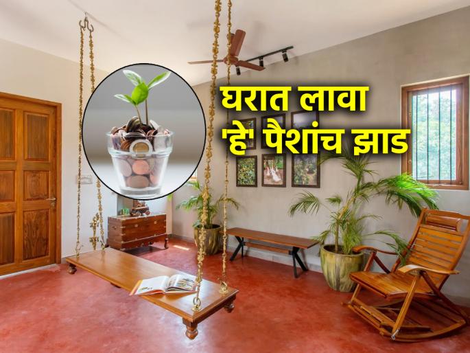 Astrology Tips : Plant this plant on the Thursday before monsoon; In the future, there will be benefits! | Astrology Tips : पावसाळ्याआधीच्या गुरुवारी 'हे' रोप लावा; भविष्यात होईल लाभच लाभ! Astrology Tips : Plant this plant on the Thursday before monsoon; In the future, there will be benefits! | Astrology Tips : पावसाळ्याआधीच्या गुरुवारी 'हे' रोप लावा; भविष्यात होईल लाभच लाभ!