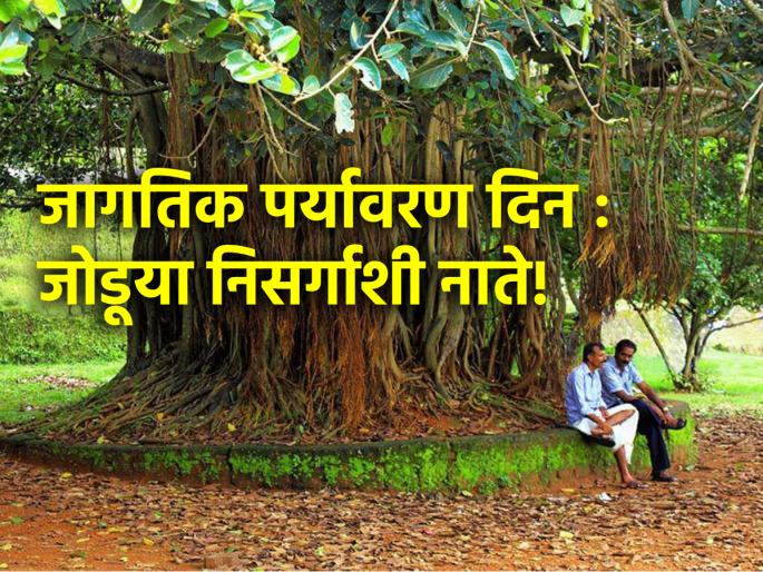 World Environment Day 2024: On the occasion of World Environment Day, let's connect with trees! | World Environment Day 2024: जागतिक पर्यावरण दिनानिमित्त आपणही जोडूया वृक्षवेलींशी सोयरीक! World Environment Day 2024: On the occasion of World Environment Day, let's connect with trees! | World Environment Day 2024: जागतिक पर्यावरण दिनानिमित्त आपणही जोडूया वृक्षवेलींशी सोयरीक!