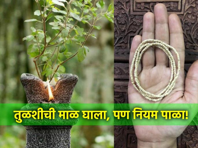 Chaturmaas 2024: Must wear Tulsi Mala in Chaturmaas, but follow the rules too! | Chaturmaas 2024: चातुर्मासात तुळशीची माळ जरूर घाला, पण नियमही पाळा! Chaturmaas 2024: Must wear Tulsi Mala in Chaturmaas, but follow the rules too! | Chaturmaas 2024: चातुर्मासात तुळशीची माळ जरूर घाला, पण नियमही पाळा!
