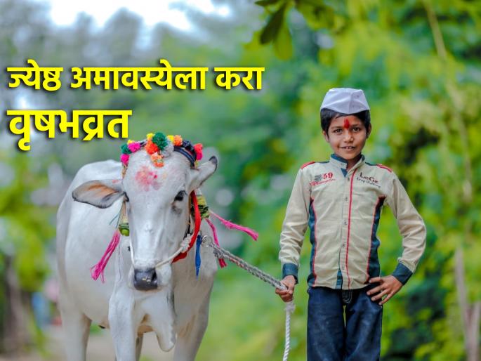 Jyestha Amavasya 2024: Do Vrishabhvrata on Jyestha Amavasya; There was the attainment of Shivloka; Read in detail! | Jyestha Amavasya 2024: ज्येष्ठ अमावस्येला करतात वृषभव्रत; होते शिवलोकाची प्राप्ती; सविस्तर वाचा! Jyestha Amavasya 2024: Do Vrishabhvrata on Jyestha Amavasya; There was the attainment of Shivloka; Read in detail! | Jyestha Amavasya 2024: ज्येष्ठ अमावस्येला करतात वृषभव्रत; होते शिवलोकाची प्राप्ती; सविस्तर वाचा!