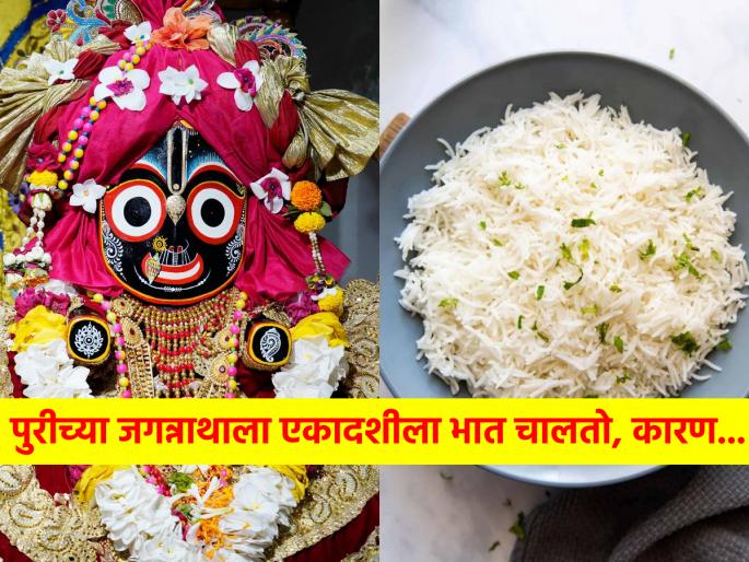 Jagannath Yatra: Offering of rice to Jagannath of Puri is also done on Ekadashi; Read the story behind it! | Jagannath Yatra: पुरीच्या जगन्नाथाला एकादशीच्या दिवशीसुद्धा भाताचा नैवेद्य चालतो; वाचा त्यामागील कथा! Jagannath Yatra: Offering of rice to Jagannath of Puri is also done on Ekadashi; Read the story behind it! | Jagannath Yatra: पुरीच्या जगन्नाथाला एकादशीच्या दिवशीसुद्धा भाताचा नैवेद्य चालतो; वाचा त्यामागील कथा!