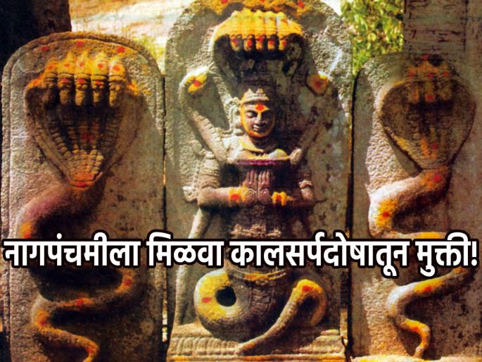 Nag Panchami 2024: On the day of Nag Panchami 'this' remedy gets rid of Kalsarp Dosh! | Nag Panchami 2024: नागपंचमीच्या दिवशी 'हे' उपाय केले असता दूर होतो कालसर्प दोष! Nag Panchami 2024: On the day of Nag Panchami 'this' remedy gets rid of Kalsarp Dosh! | Nag Panchami 2024: नागपंचमीच्या दिवशी 'हे' उपाय केले असता दूर होतो कालसर्प दोष!