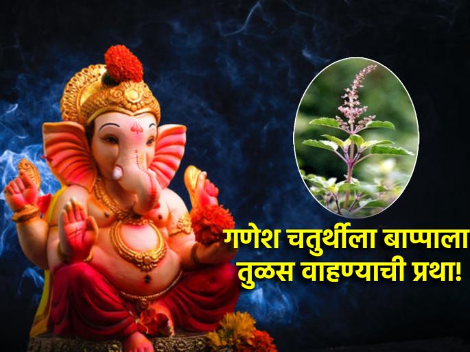 Ganesh Chaturthi 2024: On Bhadrapada Chaturthi, Bappa is not pleased with durva, but basil; Because... | Ganesh Chaturthi 2024: भाद्रपद चतुर्थीच्या दिवशी बाप्पाला दूर्वा नाही तर चक्क तुळस वाहतात; कारण... Ganesh Chaturthi 2024: On Bhadrapada Chaturthi, Bappa is not pleased with durva, but basil; Because... | Ganesh Chaturthi 2024: भाद्रपद चतुर्थीच्या दिवशी बाप्पाला दूर्वा नाही तर चक्क तुळस वाहतात; कारण...
