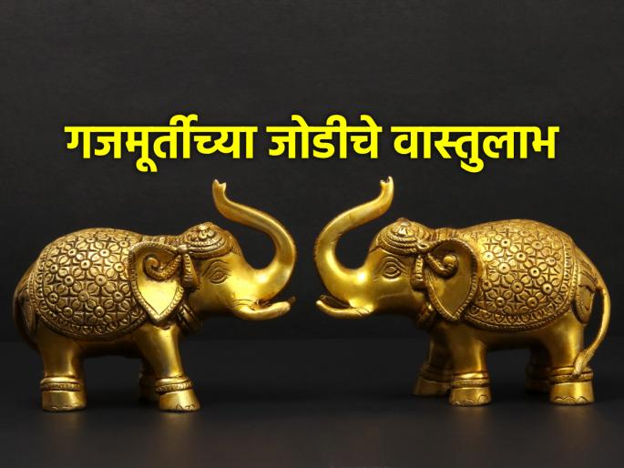 Ganesh Chaturthi 2024: Bring home a pair of Gajamurtis during Ganeshotsav; Get bappa's Grace forever! | Ganesh Chaturthi 2024: गणेशोत्सवादरम्यान घरी गजमूर्तीची जोडी आणा; कायमस्वरूपी बाप्पाची कृपा मिळवा! Ganesh Chaturthi 2024: Bring home a pair of Gajamurtis during Ganeshotsav; Get bappa's Grace forever! | Ganesh Chaturthi 2024: गणेशोत्सवादरम्यान घरी गजमूर्तीची जोडी आणा; कायमस्वरूपी बाप्पाची कृपा मिळवा!