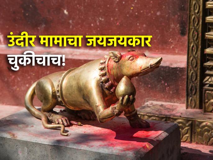 Ganesh Chaturthi 2024: If you say 'Undir mama ki jai' after chanting Bappa, then you are wrong; Because... | Ganesh Chaturthi 2024: बाप्पाच्या जयघोषानंतर 'उंदीर मामा की जय' म्हणत असाल,तर चुकताय; कारण... Ganesh Chaturthi 2024: If you say 'Undir mama ki jai' after chanting Bappa, then you are wrong; Because... | Ganesh Chaturthi 2024: बाप्पाच्या जयघोषानंतर 'उंदीर मामा की जय' म्हणत असाल,तर चुकताय; कारण...