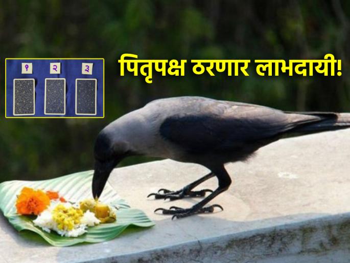 Tarot Card: The period of Pitrupaksha will be beneficial, obstructed work will be done on the way; Choose your tarot card! | Tarot Card: पितृपक्षाचा काळ ठरणार लाभदायी, अडलेली कामे लागणार मार्गी; निवडा तुमचे टॅरो कार्ड! Tarot Card: The period of Pitrupaksha will be beneficial, obstructed work will be done on the way; Choose your tarot card! | Tarot Card: पितृपक्षाचा काळ ठरणार लाभदायी, अडलेली कामे लागणार मार्गी; निवडा तुमचे टॅरो कार्ड!
